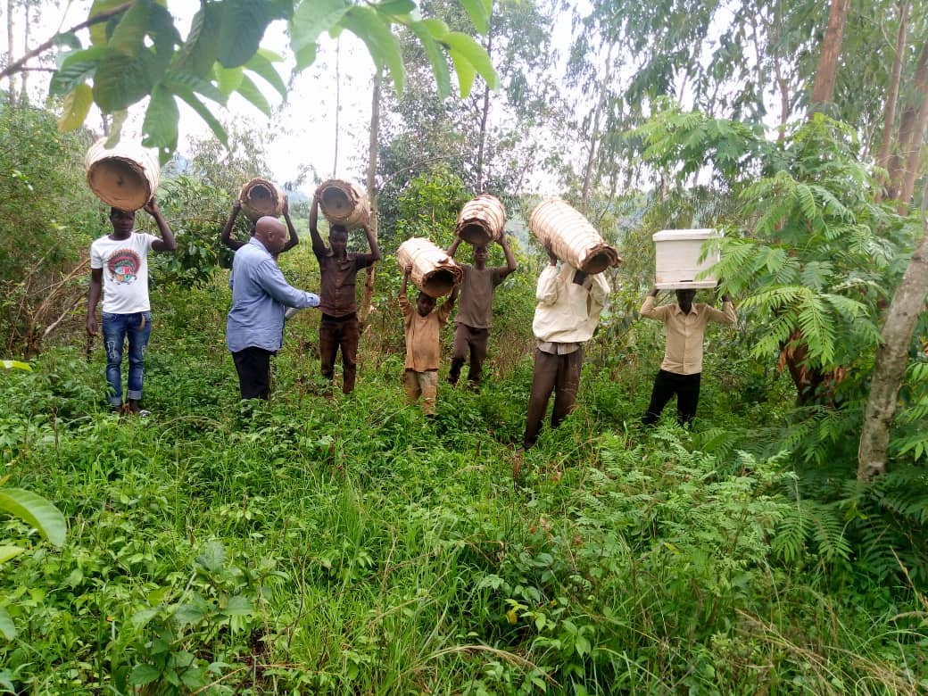 Beekeeping improves lives in Bubanza