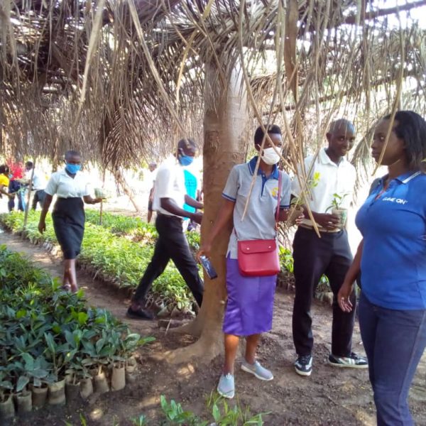 reforestation-04 (plantation)
